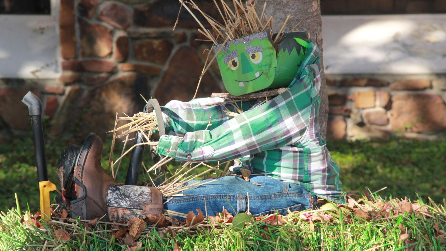 Taking a tour around town